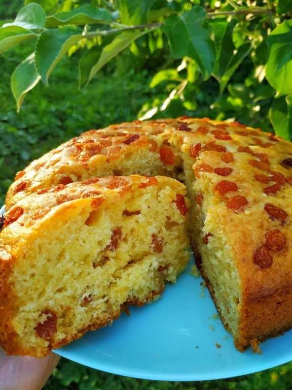 Выпечка без яиц — 1545 домашних вкусных рецептов приготовления