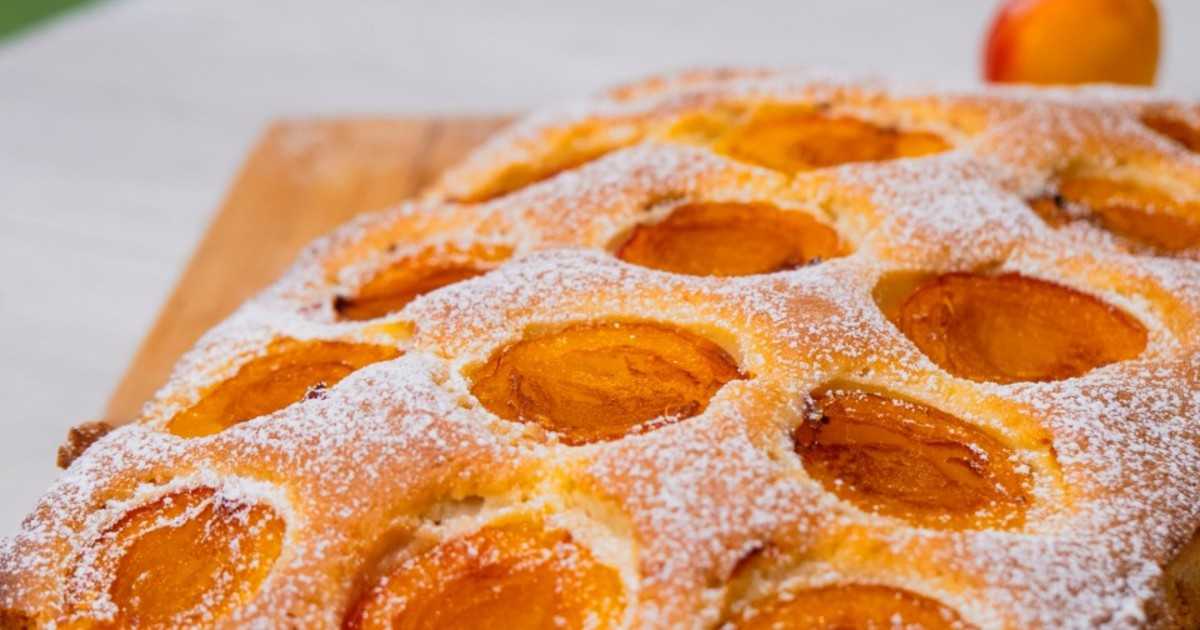 Шарлотка с абрикосами в духовке: пошаговый рецепт с фото — все про торты: рецепты, описание, история