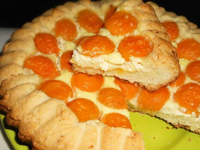 Пирог с творогом и абрикосами – вкусный полезный десерт. рецепты пирогов с творогом и абрикосами из разных видов теста