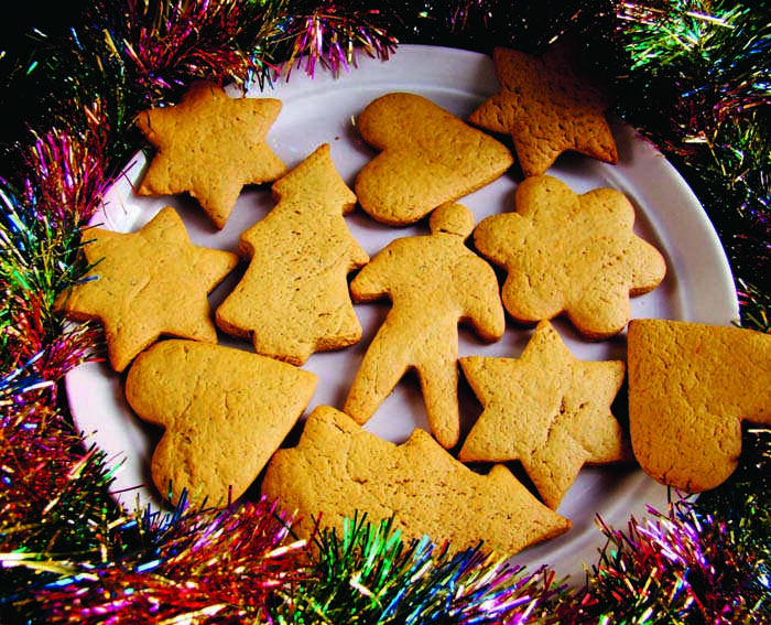 Новогоднее имбирное печенье: топ 15 лучших рецептов приготовления с фото