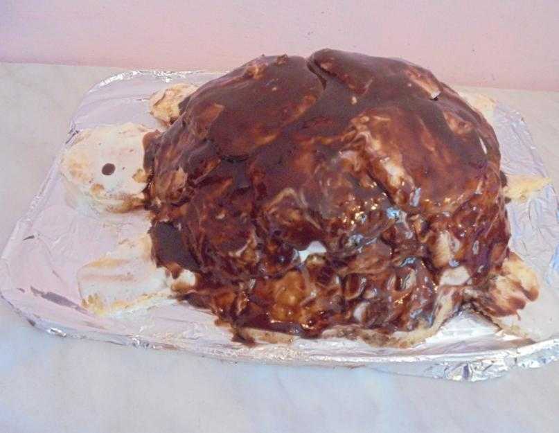Торт «черепаха» – 10 простых и вкусных рецептов в домашних условиях с фото пошагово