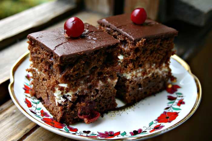 Шоколадное пирожное: топ 7 простых рецептов приготовления