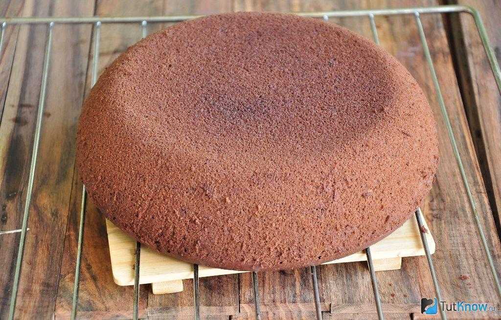 9 рецептов самых вкусных сладких пирогов к чаю на скорую руку