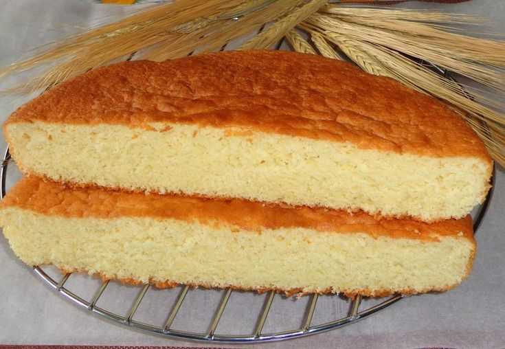 Торт без яиц - 1797 рецептов: торт | foodini