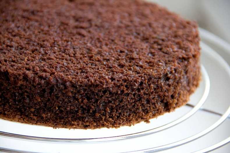 Торт шоколад на кипятке: пошаговый рецепт бисквита в духовке
