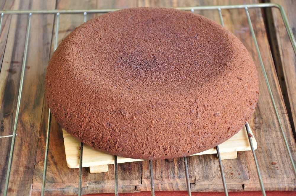 Бисквит для торта классический: рецепт, который всегда получается с фото пошагово