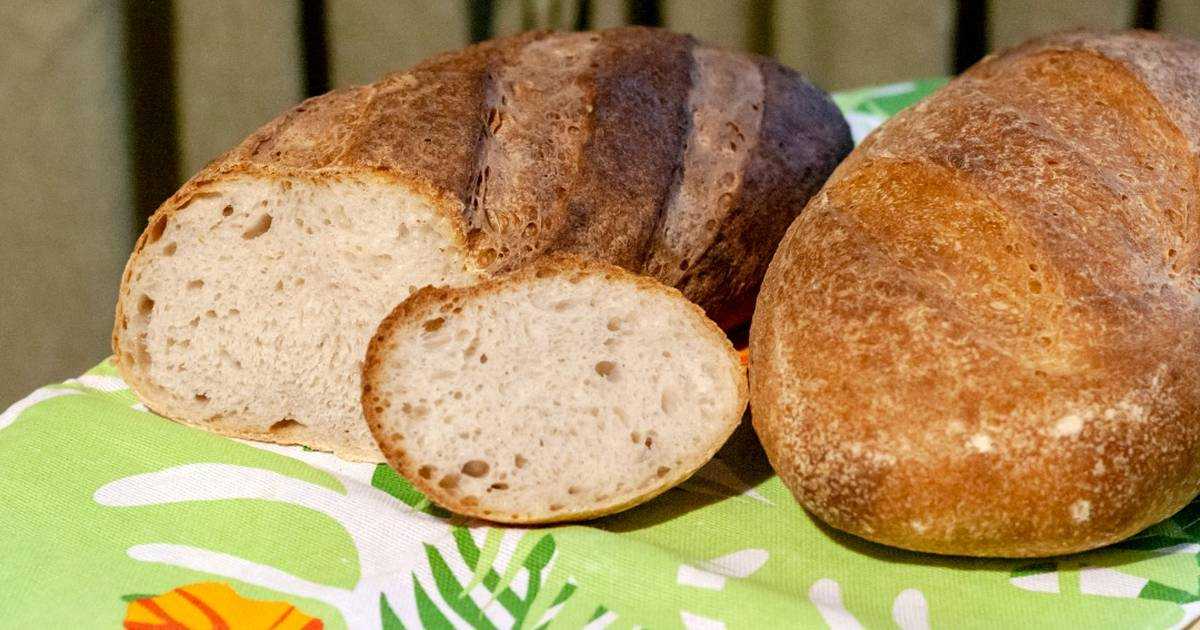Рецепт закваски для хлеба из ржаной муки: как сделать и вывести активный стартер