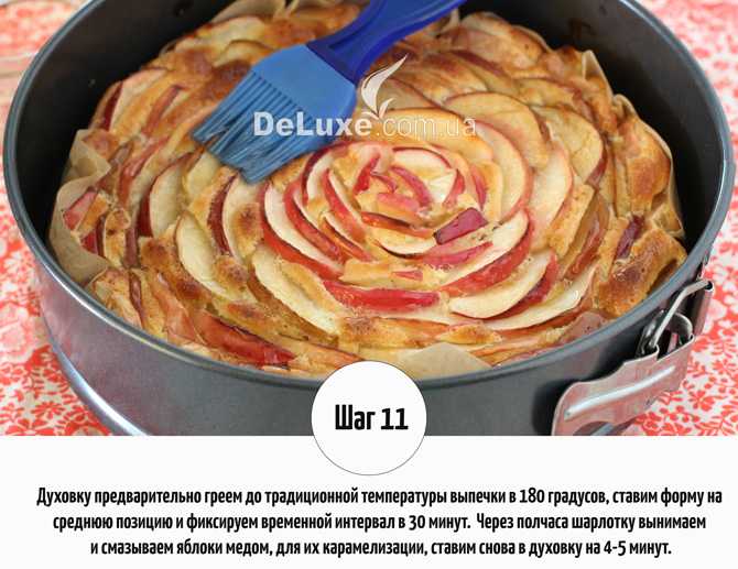 Шарлотка классическая с яблоками в духовке пышная рецепт с фото пошагово и видео - 1000.menu