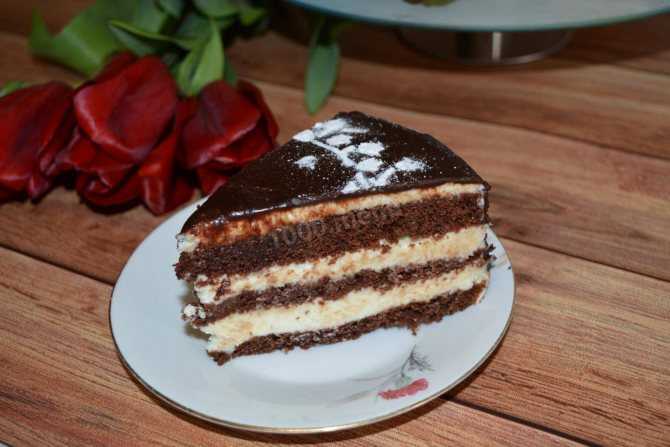 Шоколадно-творожный торт: рецепты с вишней, йогуртом, с маскарпоне