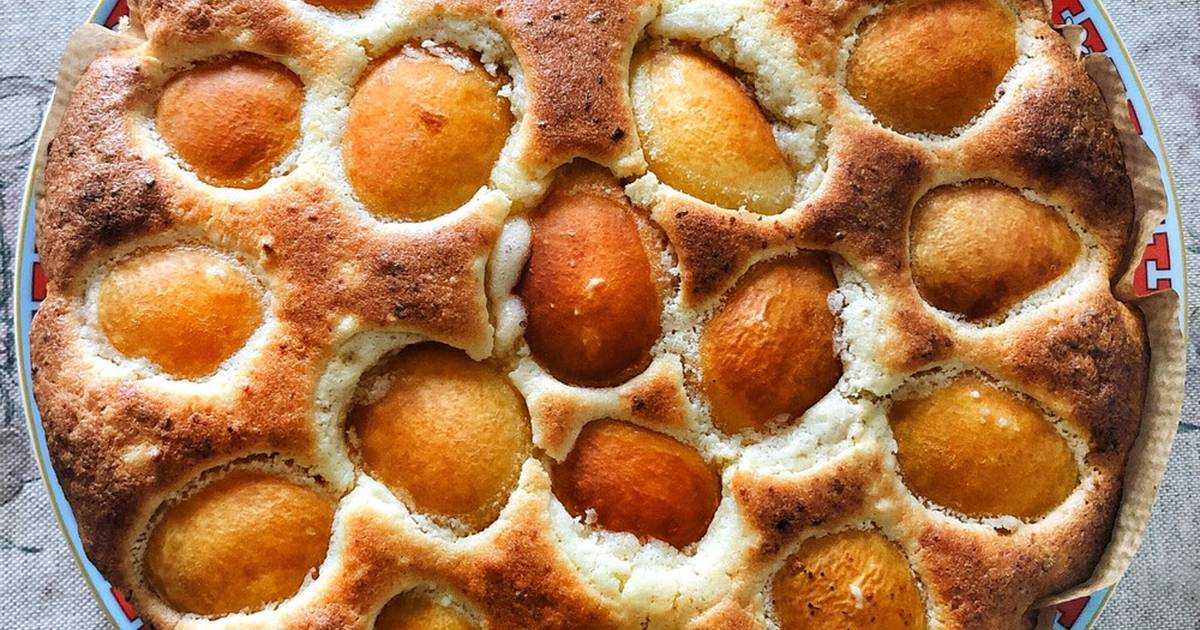 Творожный пирог с абрикосами - 74 рецепта: пирог | foodini