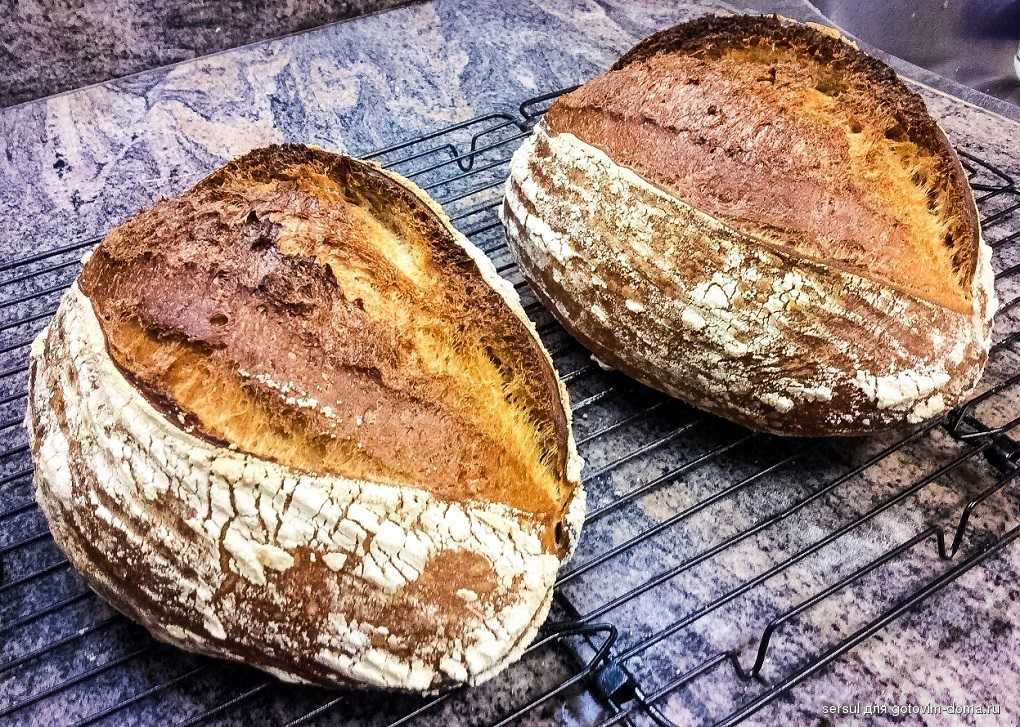 Хлеб на закваске простой рецепт. Хлеб Тартин ржаной. Хлеб Тартин Эстетика. Американский хлеб Тартин. Хлеб на закваске.