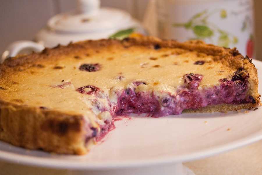 Творожный пирог с ягодами - 388 рецептов: пирог | foodini