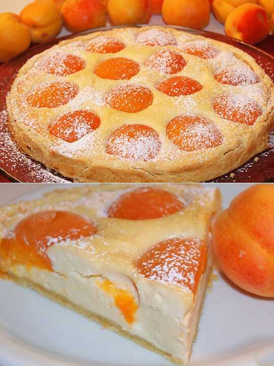 Творожный пирог с творогом и абрикосами рецепт с фото пошагово - 1000.menu