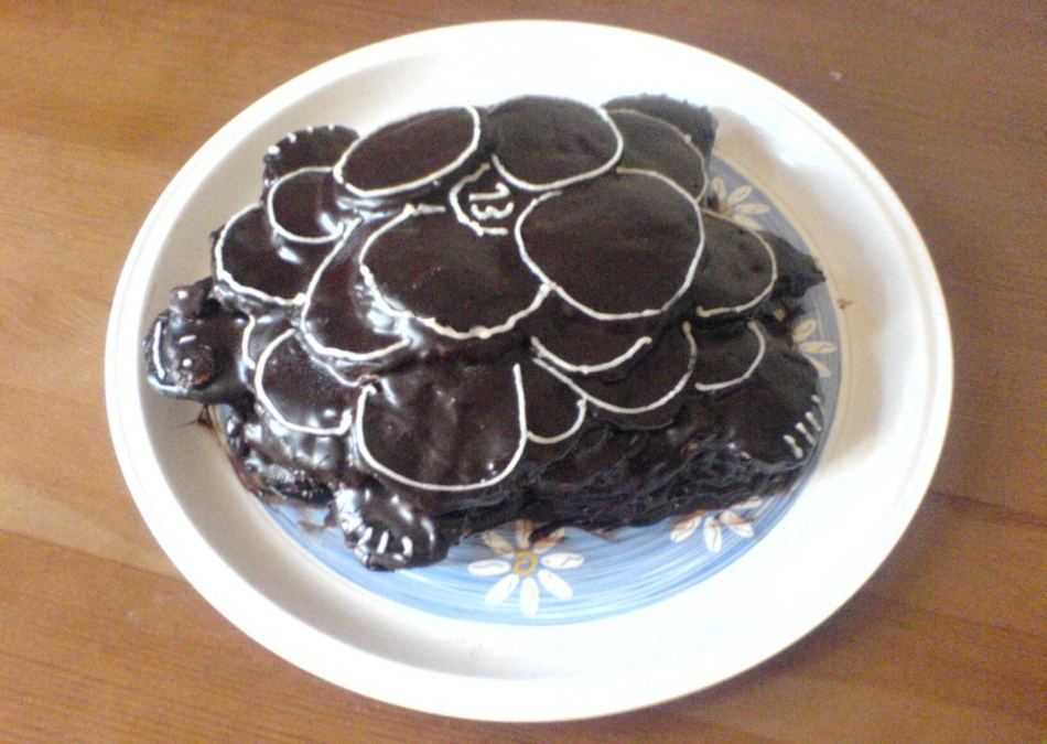 Готовим простой торт черепаха в домашних условиях — 6 очень вкусных рецептов
