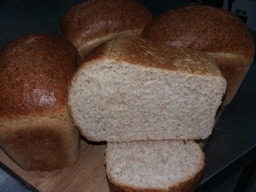 Как приготовить хлеб ржаной тыквенный с отрубями: поиск по ингредиентам, советы, отзывы, пошаговые фото, подсчет калорий, изменение порций, похожие рецепты