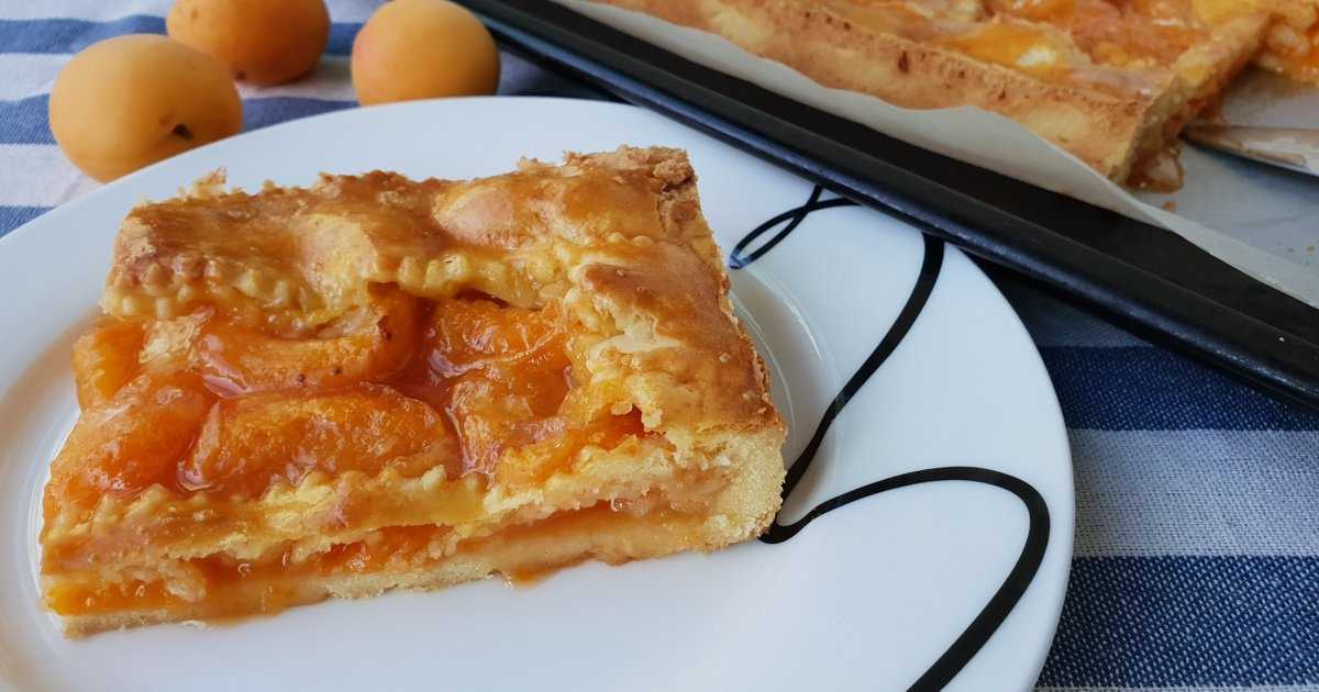 Пирог с абрикосовым вареньем рецепт с фото пошагово - 1000.menu