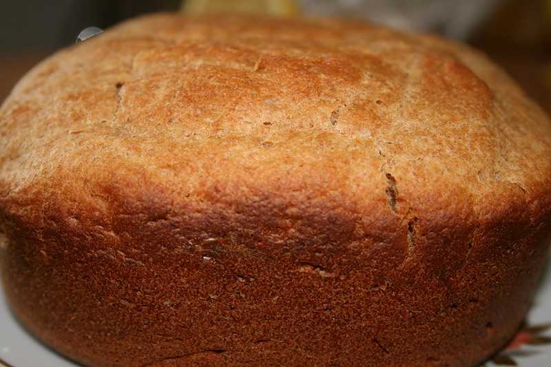 Хлеб на молоке. белый хлеб в духовке – вкусная домашняя выпечка. лучшие рецепты белого хлеба в духовке на воде, молоке, простокваше