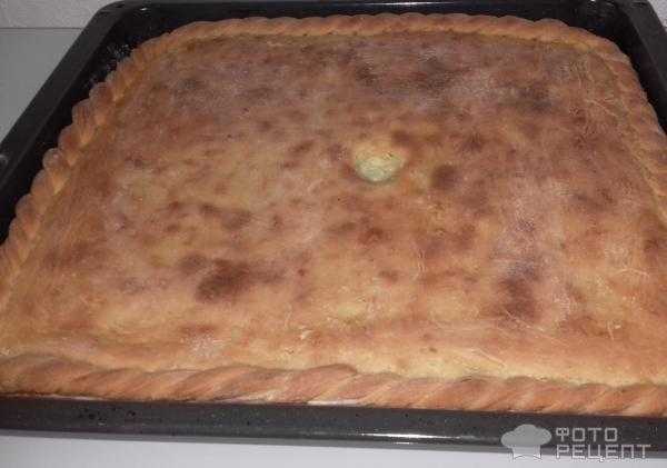 Пирог с картошкой и луком в духовке пошаговый рецепт быстро и просто от марины данько