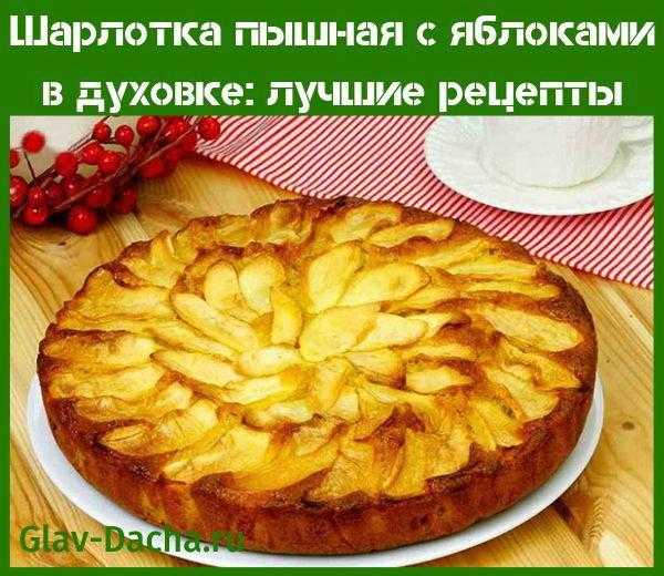 Рецепт шарлотки с яблоками: пошагово с фото и видео