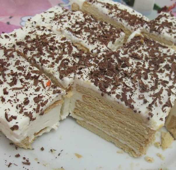 Торт домик из печенья и творога: 3 пошаговых рецепта