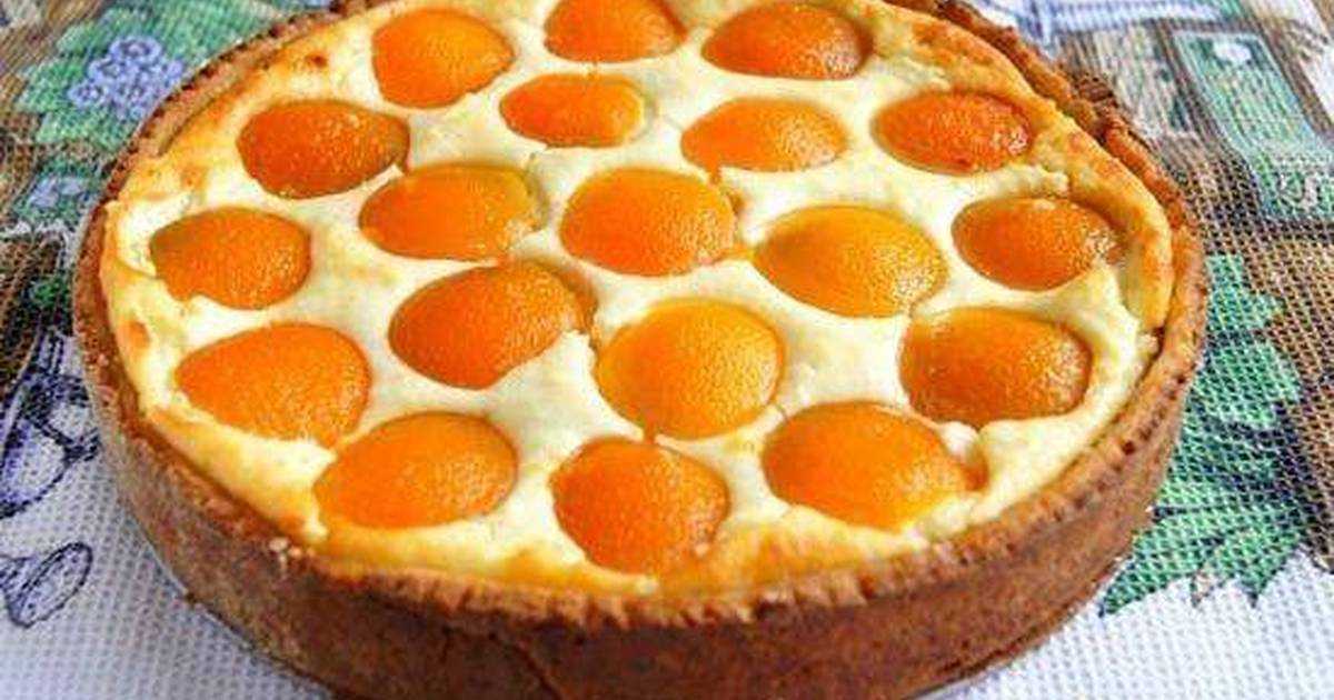 Творожный пирог с абрикосами — пошаговый рецепт с фото