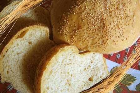 Хлеб на опаре - хлебопечка.ру