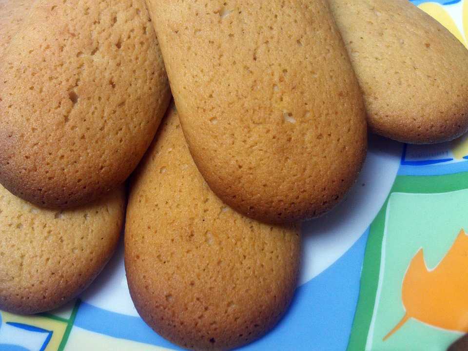 Бисквитное печенье: рецепты на любой вкус