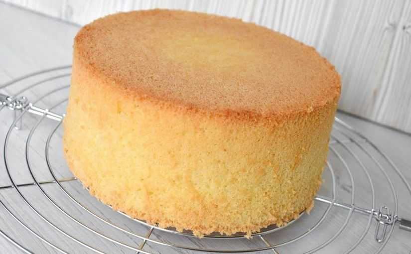 Бисквитный пирог - 16 домашних вкусных рецептов приготовления