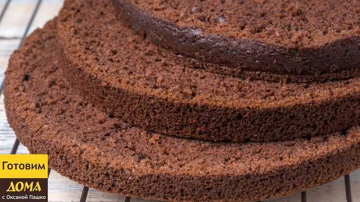 Торт бисквит шоколад на кипятке рецепт с фото пошагово - 1000.menu
