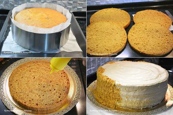 Бисквитный торт с заварным кремом, грецкими орехами и маком рецепт с фото пошагово - 1000.menu