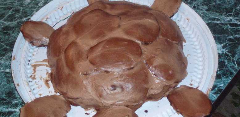 Торт «черепаха» – 10 простых и вкусных рецептов в домашних условиях