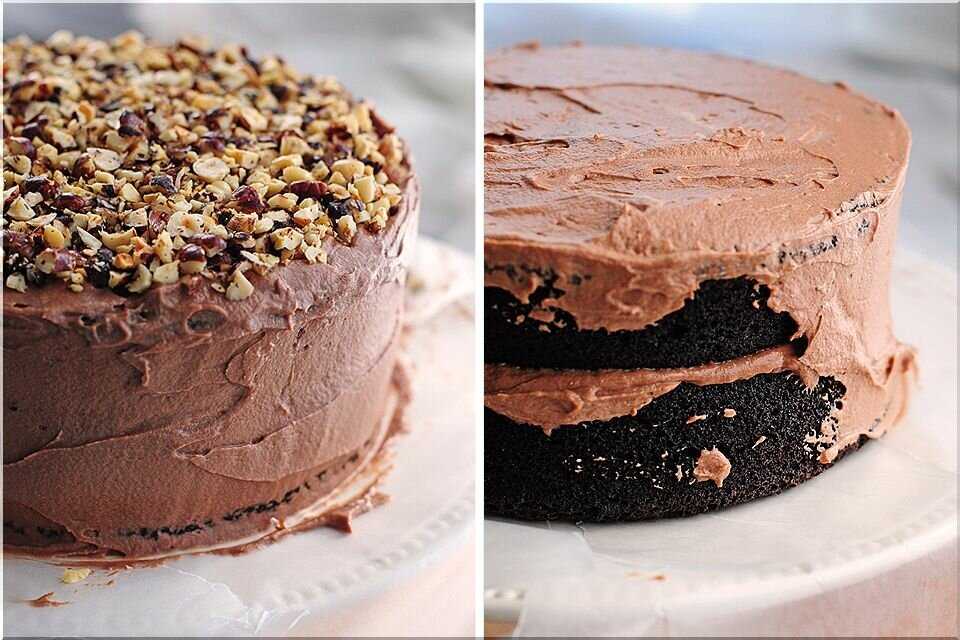 Шоколад посыпанный шоколадом. Торт с какао. Шоколадно Ореховый торт. Бисквитный торт с шоколадным кремом. Шоколадный торт с орехами.