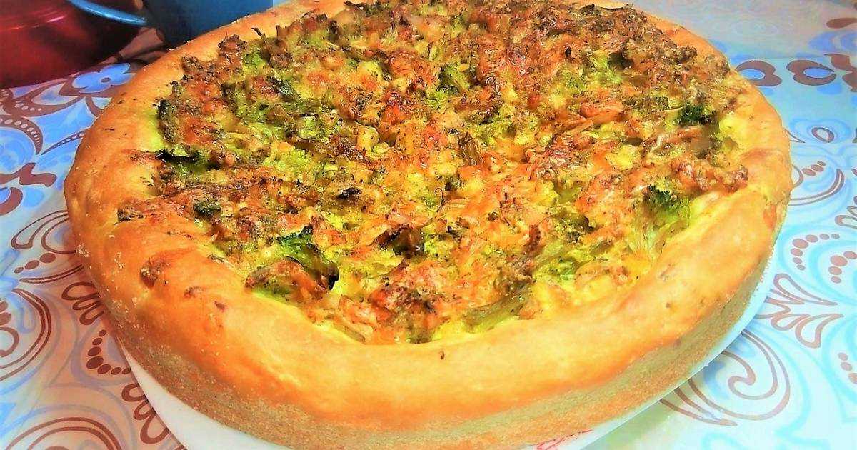 Пирог с курицей, грибами и брокколи - рецепт с фотографиями - patee. рецепты
