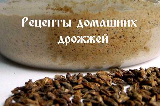 Дрожжи из хмеля
