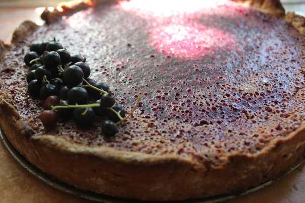 Пирог с замороженной черной смородиной: 4 простых рецепта