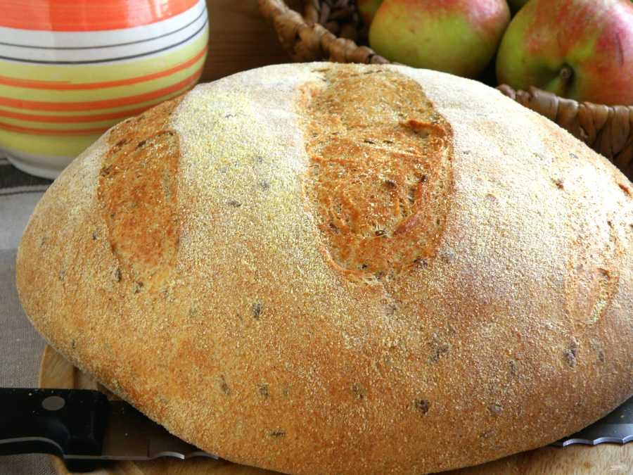 Горчичный хлеб рецепт. Батон горчичный. Хлеб круглый горчичный. Сдобный горчичный хлеб. Рецептура «хлеб горчичный».