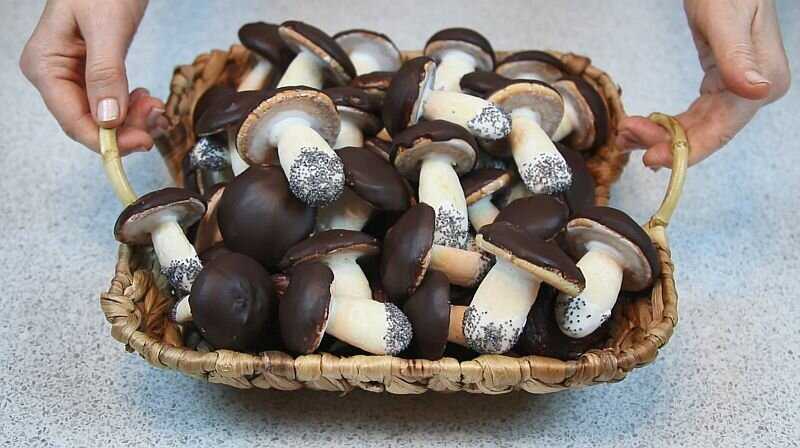 Печенье грибы на сметане в шоколадной глазури