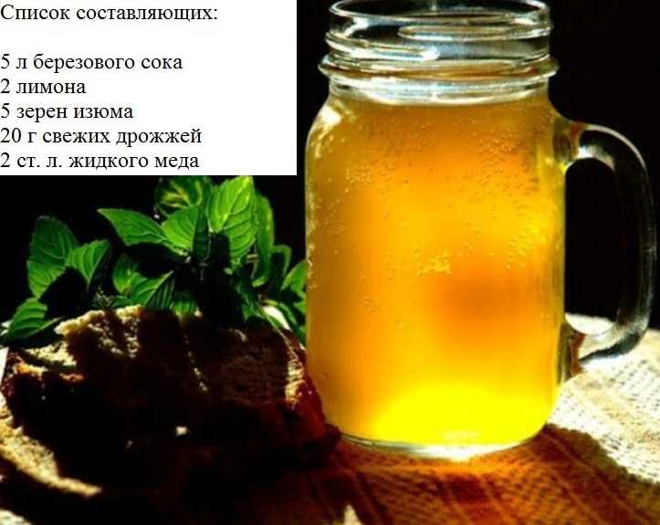 Квас из березового сока с изюмом – 9 рецептов, как сделать домашний березовый квас