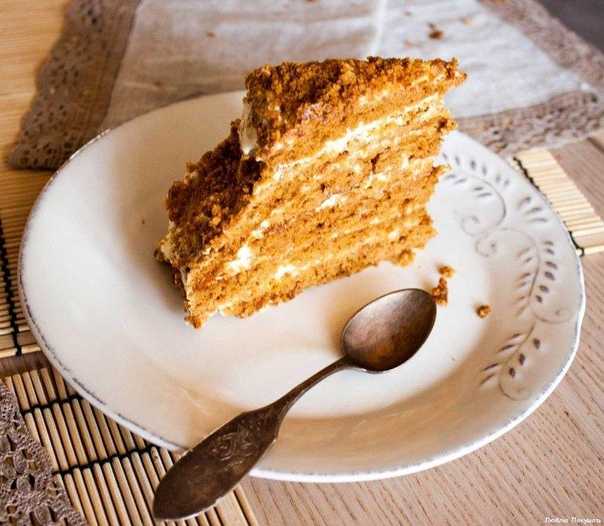 Пошаговый классический рецепт медового торта рыжик с фото