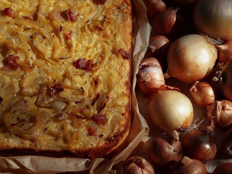 Пирог с луком в духовке: рецепты с пошаговым фото