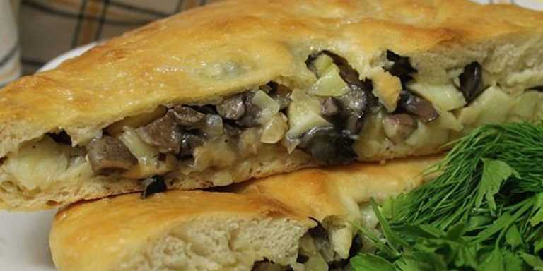 Дрожжевые пироги с мясом капустой и грибами рецепт с фото - 1000.menu