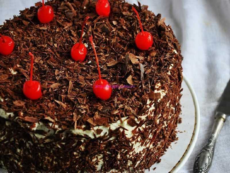 Шоколадный торт с вишней — 7 вкусных рецептов