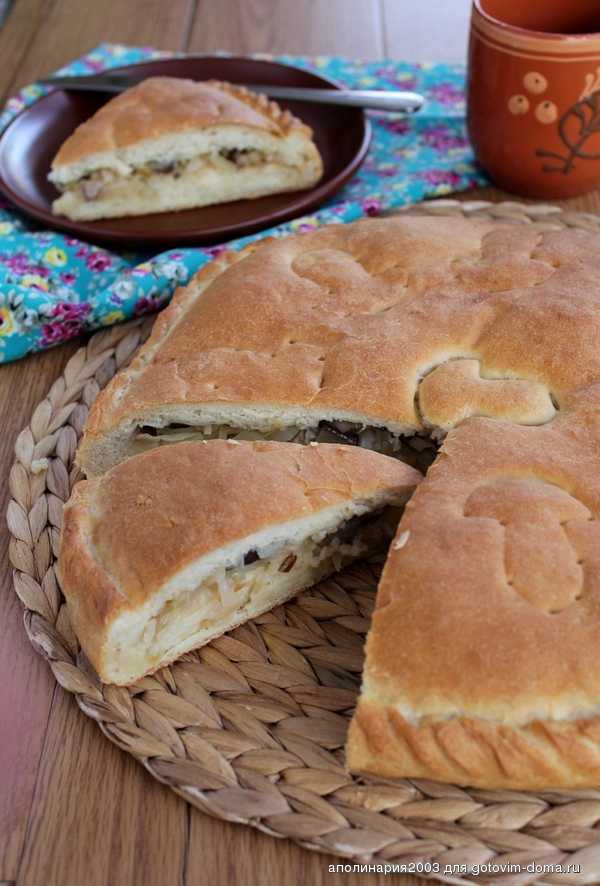 Я помогу вам вкусно приготовить блюдо Постный пирог Оранжевое настроение - смотрите  похожие рецепты, советы, состав, порядок приготовления, пошаговые фото, комментарии
