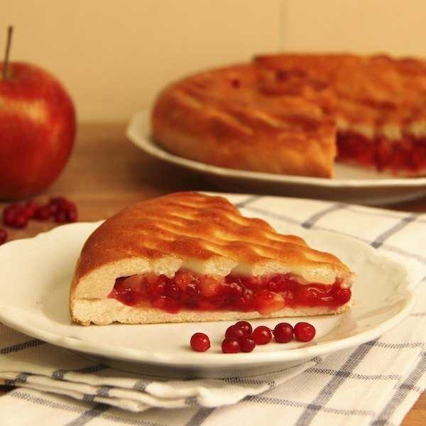 Вкусные идеи для выпечки: пирог с брусникой и яблоками