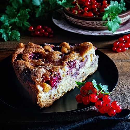 Пироги с ягодами - лучшие рецепты. как правильно и вкусно приготовить пирог с ягодами. - автор екатерина данилова - журнал женское мнение