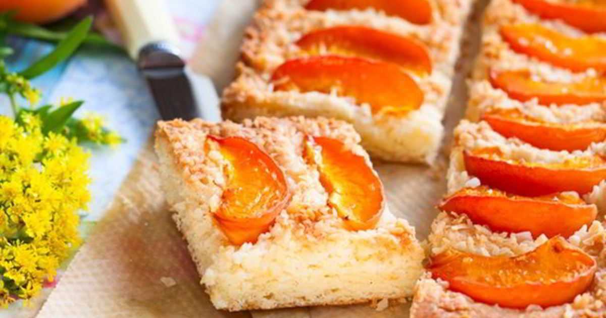 Пирог с абрикосами: самые вкусные рецепты для духовки, мультиварки и микроволновки