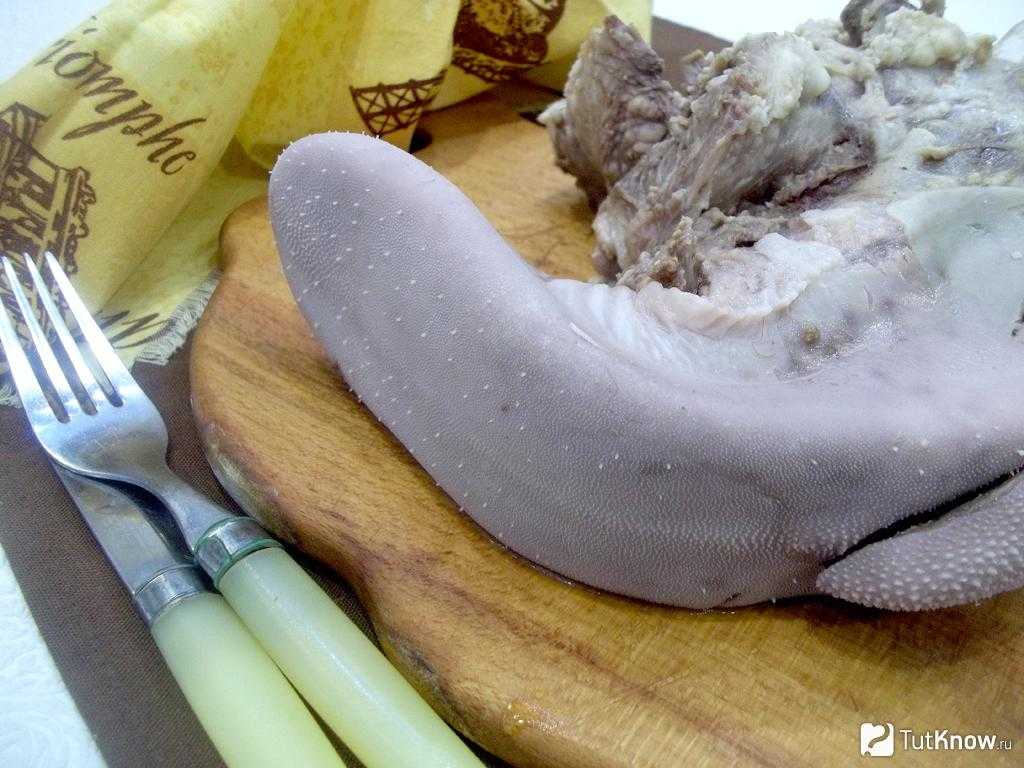 Бисквит дакуаз – рецепт классический с миндалем | авторский шоколад. десерты, торты, пирожные