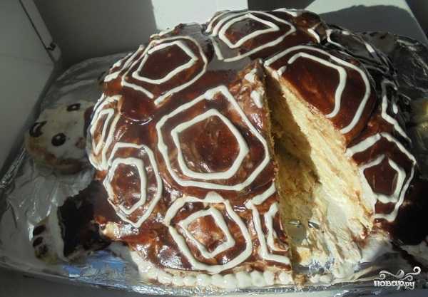 Торт черепаха классический со сметаной | пошаговый рецепт