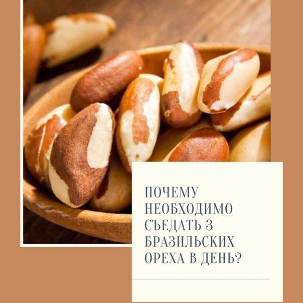 Салат с бразильскими орехами