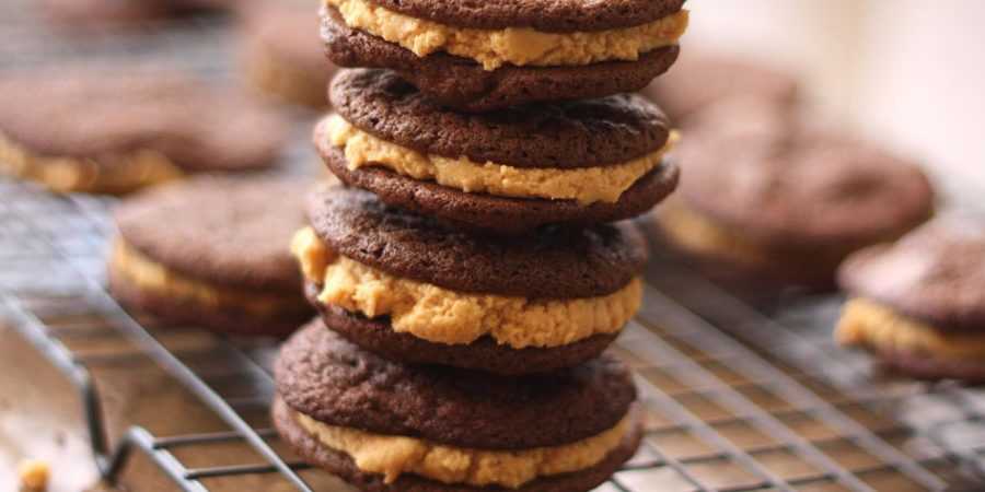 Шоколадное печенье – 12 вкусных рецептов приготовления дома